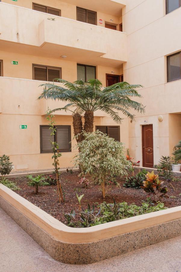 Apartamento Medano Granadilla De Abona Zewnętrze zdjęcie
